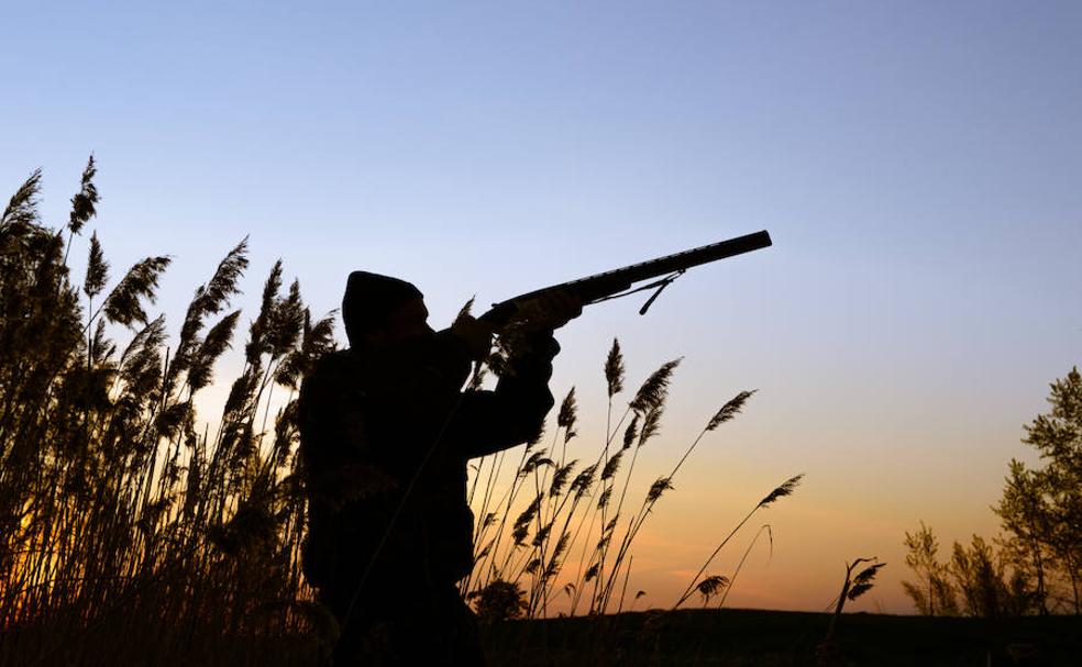 La caza, en el punto de mira Diario Sur